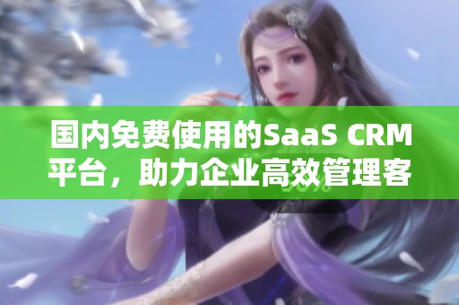 国内免费使用的SaaS CRM平台，助力企业高效管理客户关系