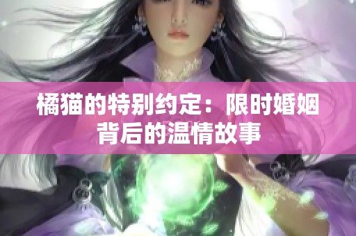 橘猫的特别约定：限时婚姻背后的温情故事