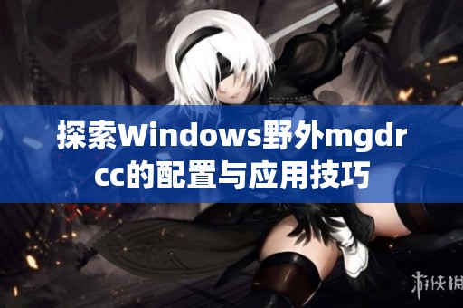 探索Windows野外mgdrcc的配置与应用技巧