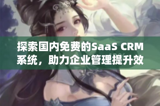 探索国内免费的SaaS CRM系统，助力企业管理提升效率