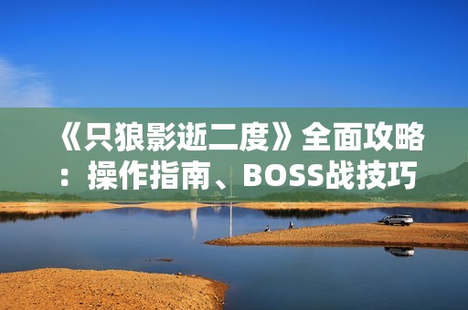 《只狼影逝二度》全面攻略：操作指南、BOSS战技巧与技能解析