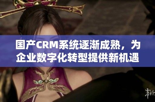 国产CRM系统逐渐成熟，为企业数字化转型提供新机遇