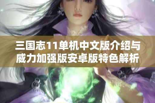 三国志11单机中文版介绍与威力加强版安卓版特色解析