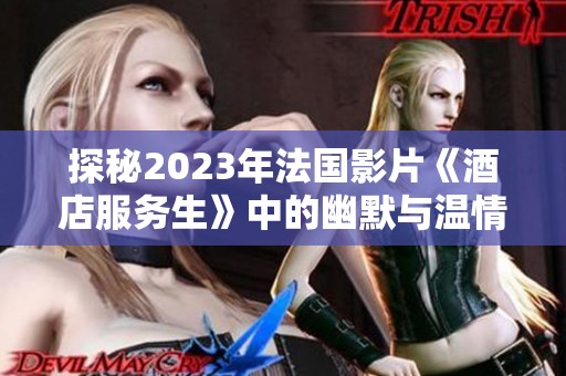 探秘2023年法国影片《酒店服务生》中的幽默与温情故事