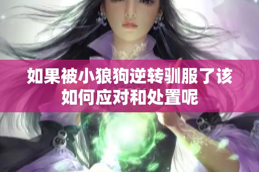 如果被小狼狗逆转驯服了该如何应对和处置呢