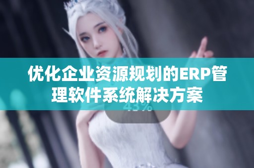 优化企业资源规划的ERP管理软件系统解决方案