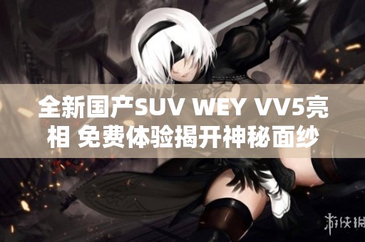 全新国产SUV WEY VV5亮相 免费体验揭开神秘面纱