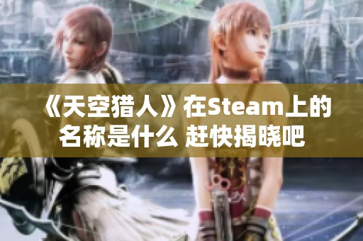 《天空猎人》在Steam上的名称是什么 赶快揭晓吧