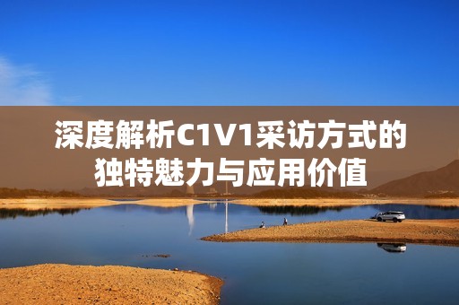 深度解析C1V1采访方式的独特魅力与应用价值