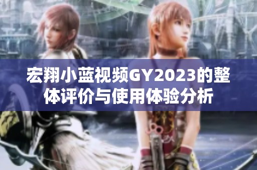 宏翔小蓝视频GY2023的整体评价与使用体验分析