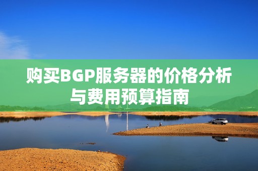 购买BGP服务器的价格分析与费用预算指南