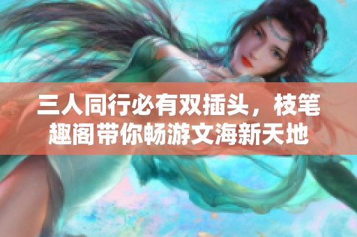 三人同行必有双插头，枝笔趣阁带你畅游文海新天地