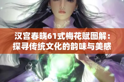 汉宫春晓61式梅花赋图解：探寻传统文化的韵味与美感