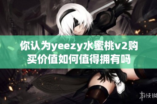 你认为yeezy水蜜桃v2购买价值如何值得拥有吗