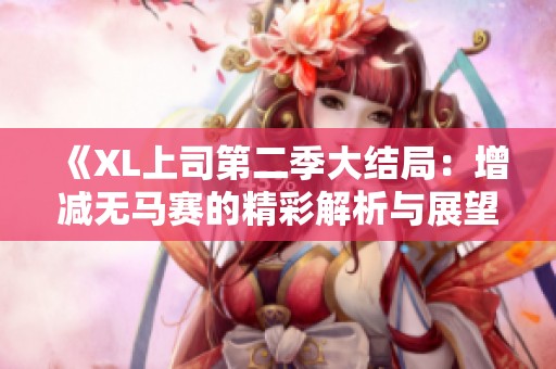 《XL上司第二季大结局：增减无马赛的精彩解析与展望》