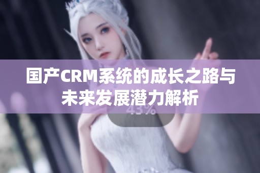 国产CRM系统的成长之路与未来发展潜力解析