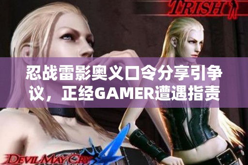 忍战雷影奥义口令分享引争议，正经GAMER遭遇指责与质疑