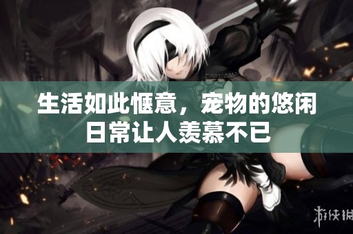 生活如此惬意，宠物的悠闲日常让人羡慕不已