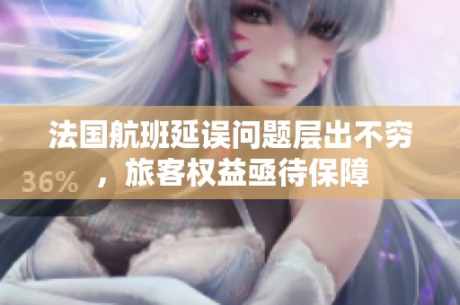 法国航班延误问题层出不穷，旅客权益亟待保障