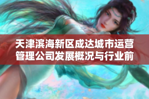 天津滨海新区成达城市运营管理公司发展概况与行业前景分析