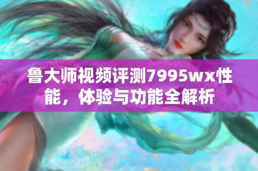 鲁大师视频评测7995wx性能，体验与功能全解析