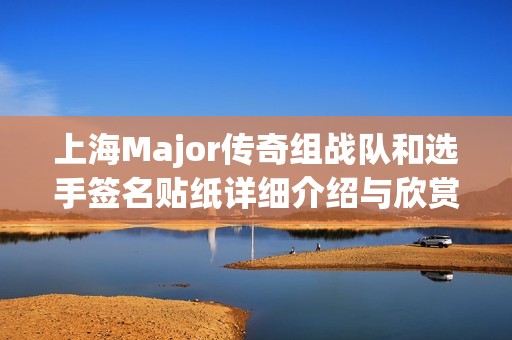 上海Major传奇组战队和选手签名贴纸详细介绍与欣赏