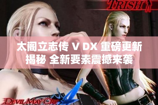 太阁立志传 V DX 重磅更新揭秘 全新要素震撼来袭