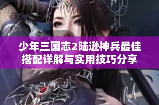 少年三国志2陆逊神兵最佳搭配详解与实用技巧分享