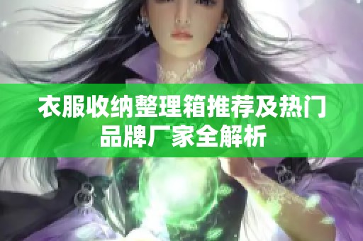 衣服收纳整理箱推荐及热门品牌厂家全解析