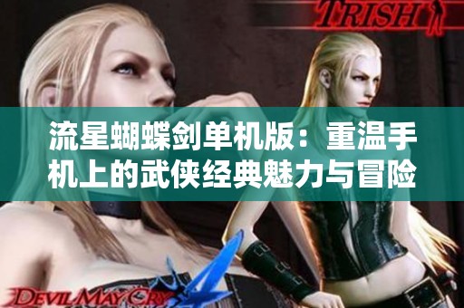 流星蝴蝶剑单机版：重温手机上的武侠经典魅力与冒险