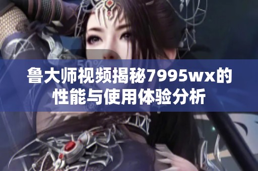 鲁大师视频揭秘7995wx的性能与使用体验分析