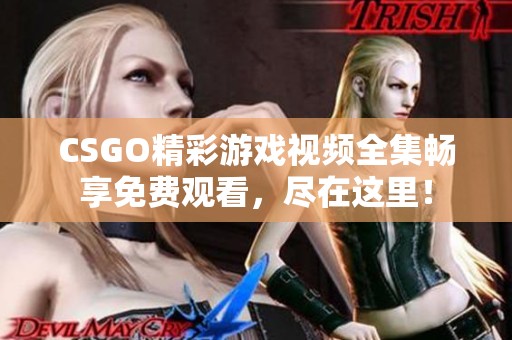 CSGO精彩游戏视频全集畅享免费观看，尽在这里！