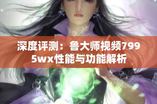 深度评测：鲁大师视频7995wx性能与功能解析