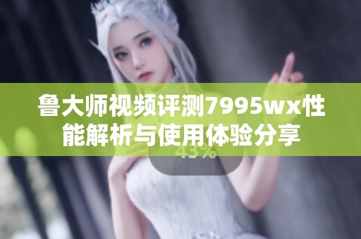 鲁大师视频评测7995wx性能解析与使用体验分享