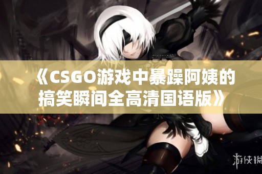 《CSGO游戏中暴躁阿姨的搞笑瞬间全高清国语版》