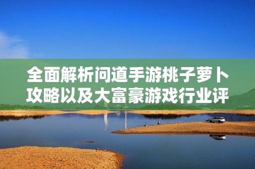 全面解析问道手游桃子萝卜攻略以及大富豪游戏行业评测心得分享