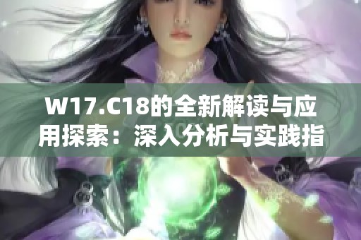 W17.C18的全新解读与应用探索：深入分析与实践指导