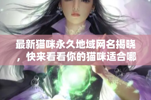 最新猫咪永久地域网名揭晓，快来看看你的猫咪适合哪个名字