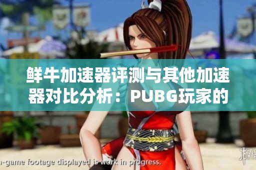 鲜牛加速器评测与其他加速器对比分析：PUBG玩家的最佳选择指南