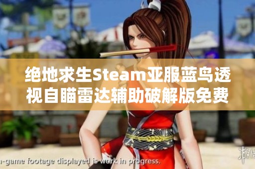 绝地求生Steam亚服蓝鸟透视自瞄雷达辅助破解版免费下载攻略分享