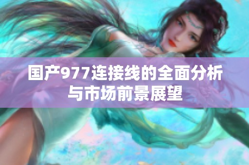 国产977连接线的全面分析与市场前景展望