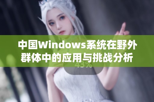 中国Windows系统在野外群体中的应用与挑战分析