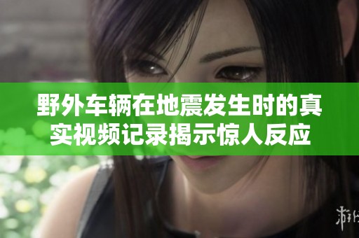 野外车辆在地震发生时的真实视频记录揭示惊人反应
