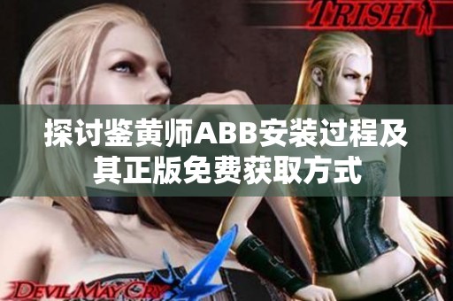 探讨鉴黄师ABB安装过程及其正版免费获取方式