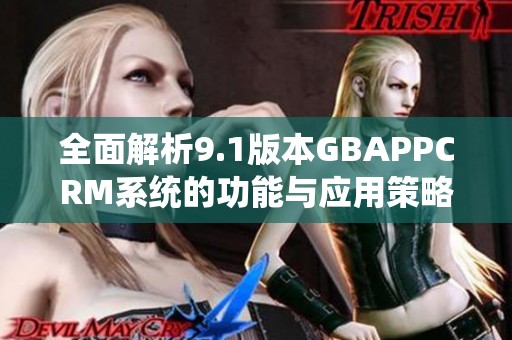 全面解析9.1版本GBAPPCRM系统的功能与应用策略