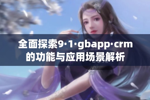 全面探索9·1·gbapp·crm的功能与应用场景解析