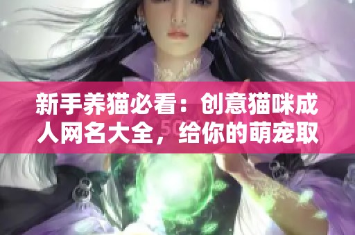 新手养猫必看：创意猫咪成人网名大全，给你的萌宠取名灵感